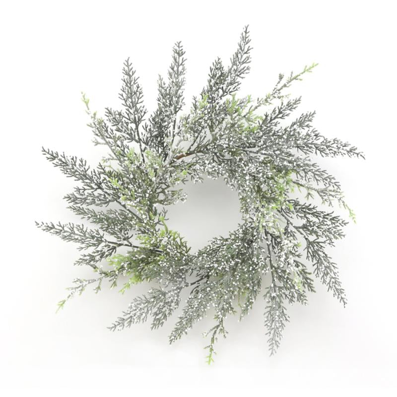 CEDar with SNOWY TIPS