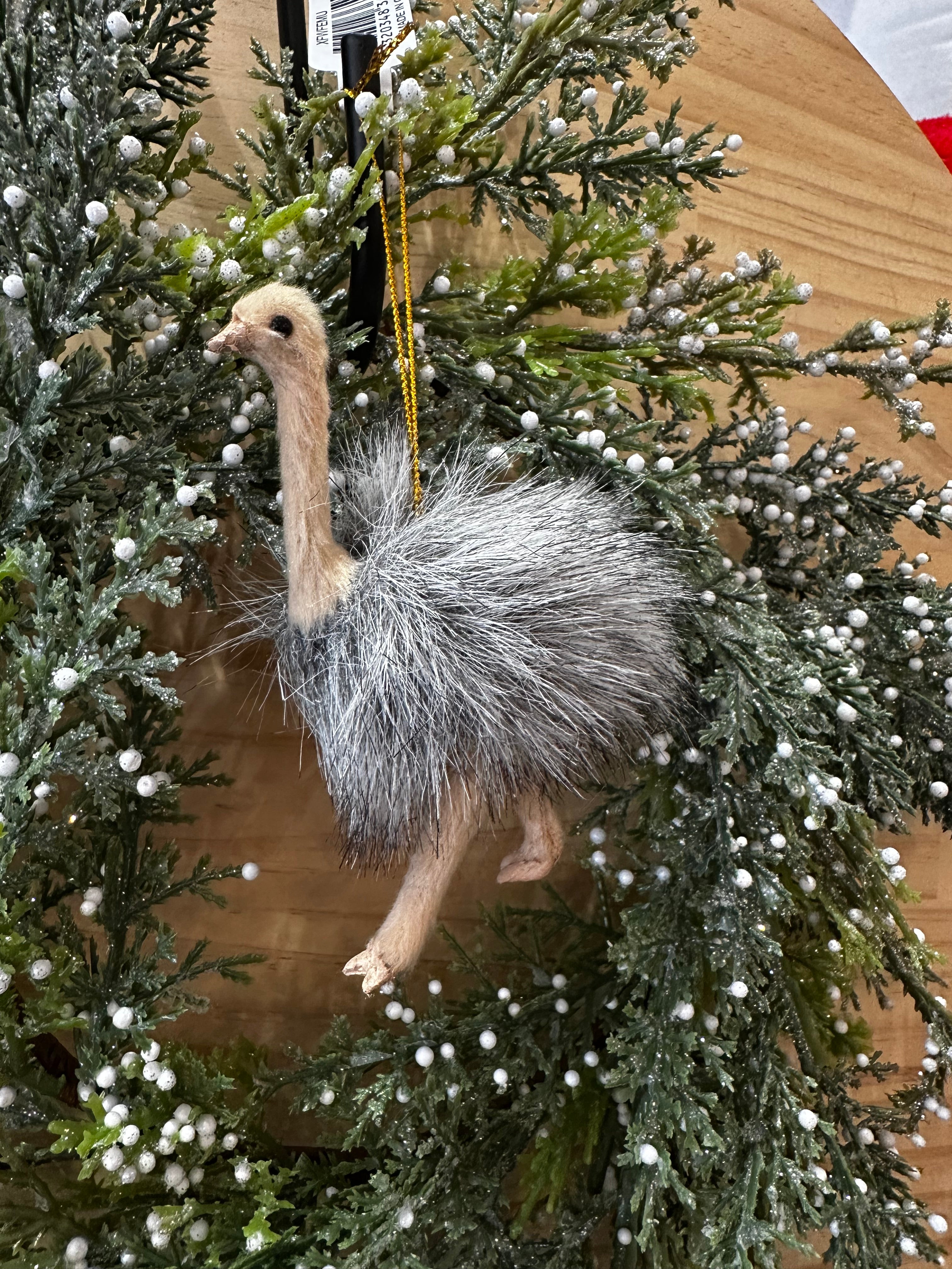 Emu ornament hanging - 2024