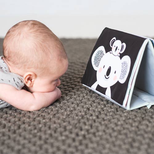 Playette - Taf Toys Tummy Time Book
