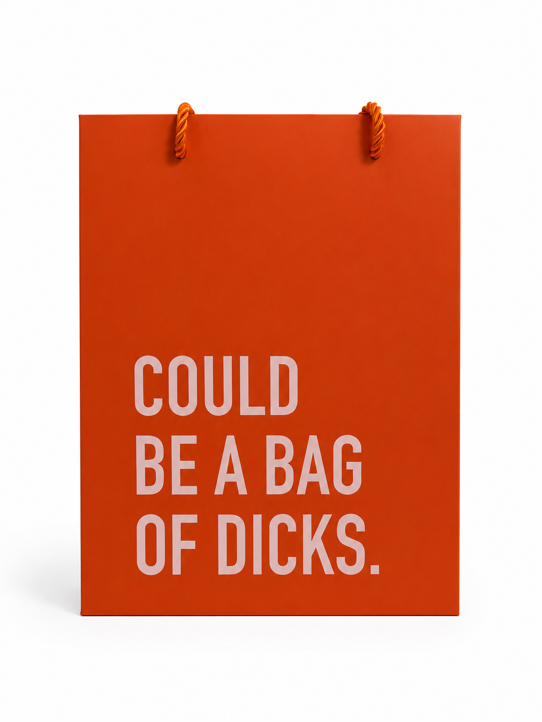 Classy Cards Creative - Bag of Dicks Gift Bag - Medium