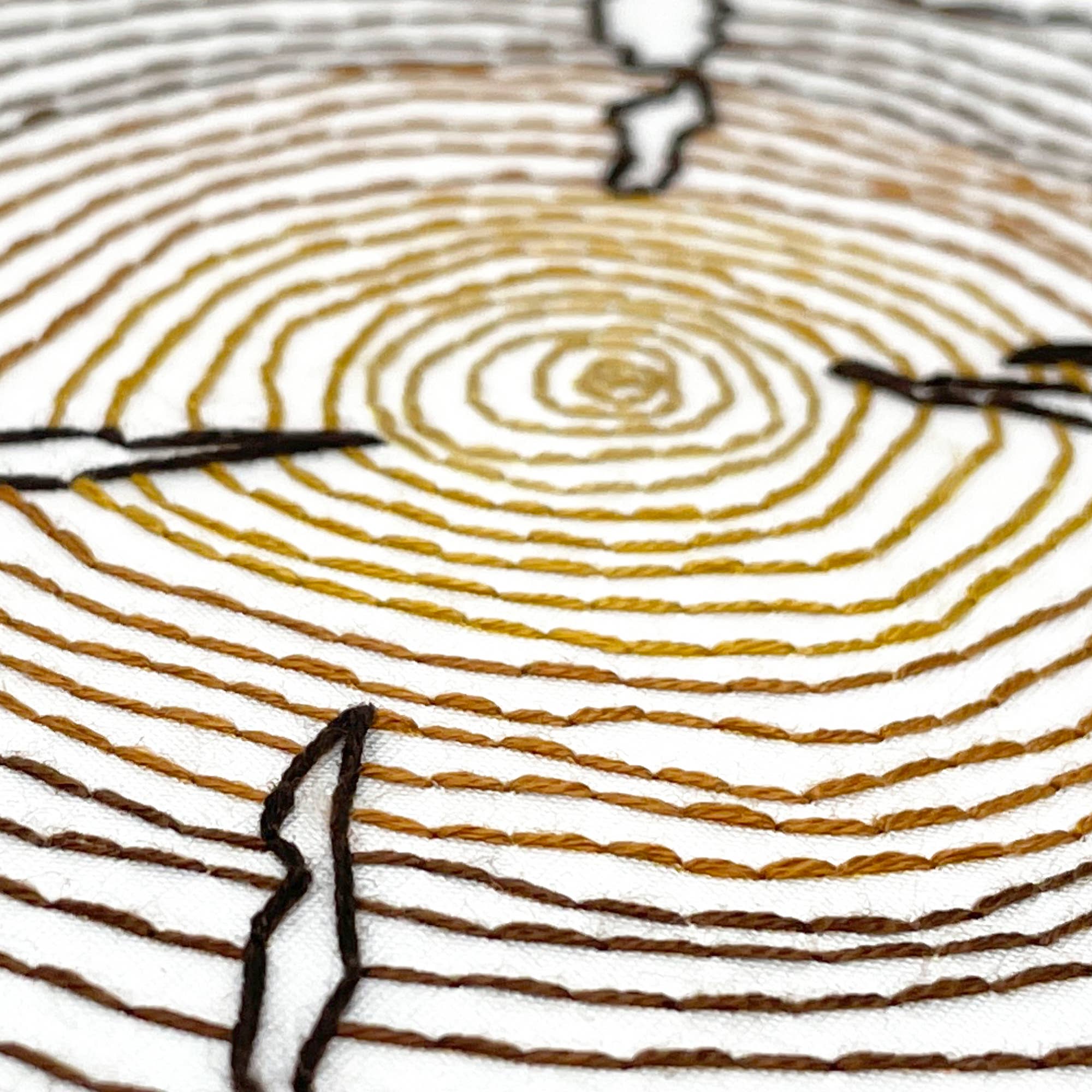 Embroidery and Sage - Tree Rings - full embroidery kit