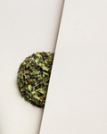 The Rabbit Hole - Native Mint Tube - Digest