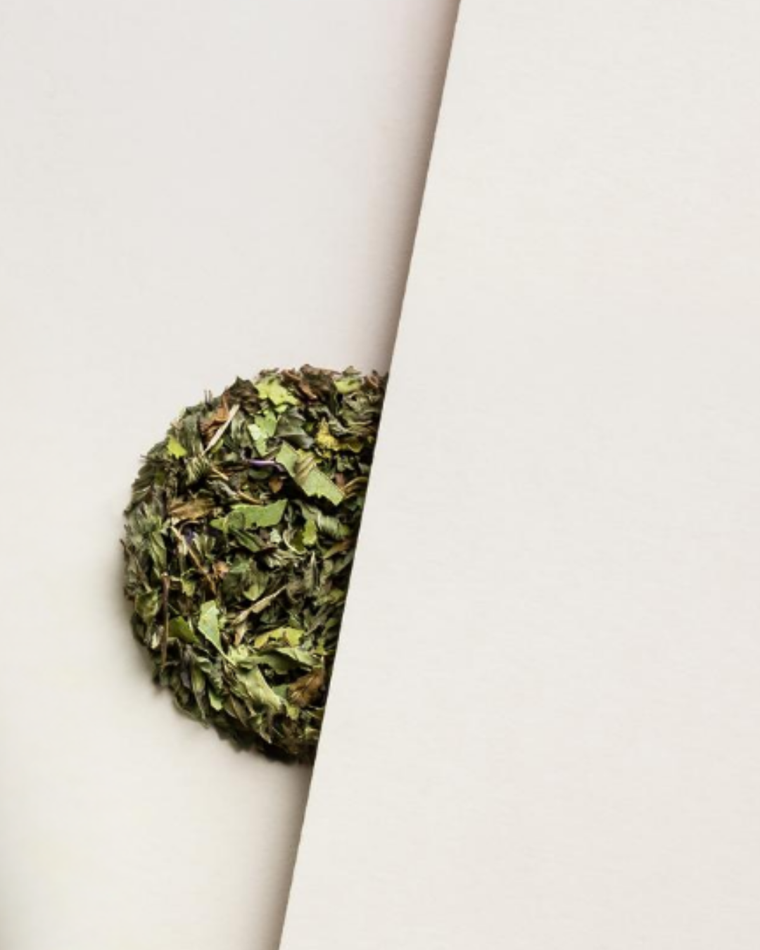 The Rabbit Hole - Native Mint Tube - Digest