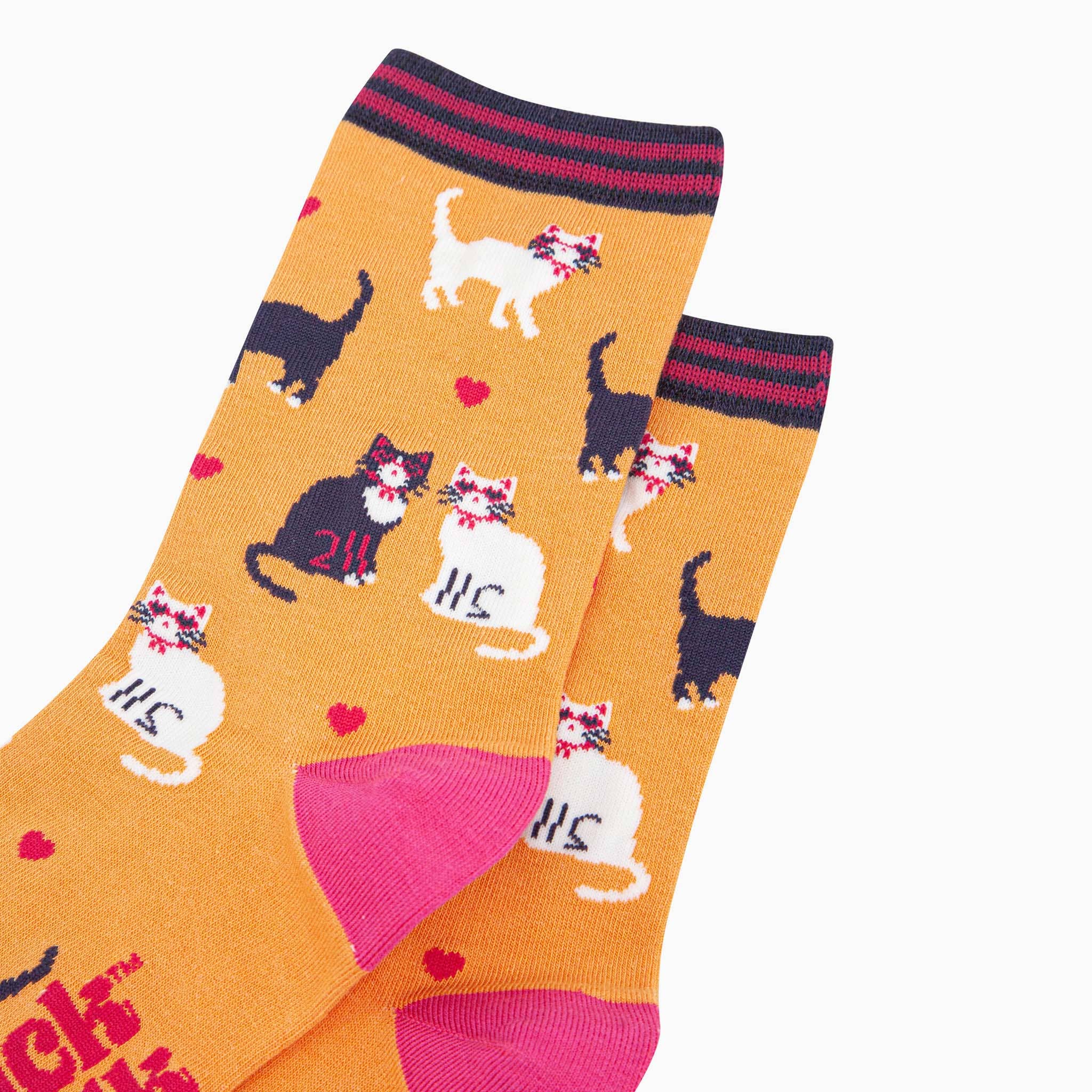 Sock Talk - Cats in Love Bamboo Socks in Orange