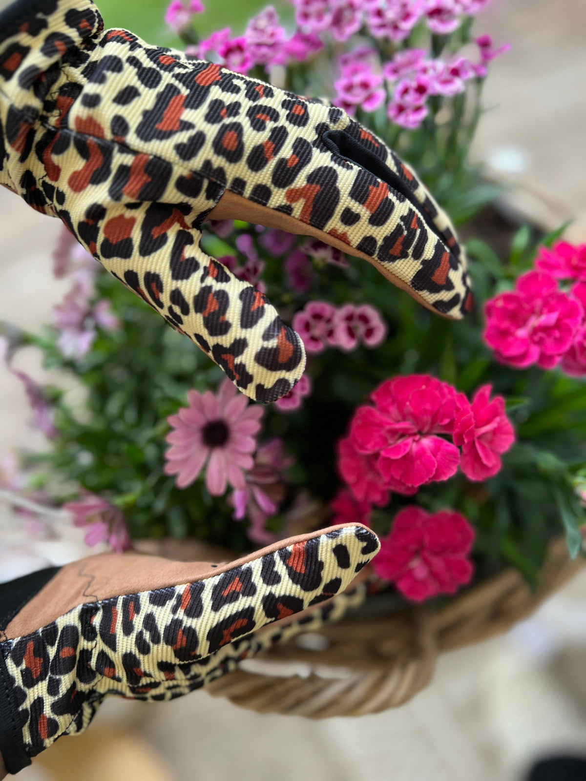 Nano & Mono e. K. - 🌿 LEO & WILD IN THE GARDEN! 🐆🌱