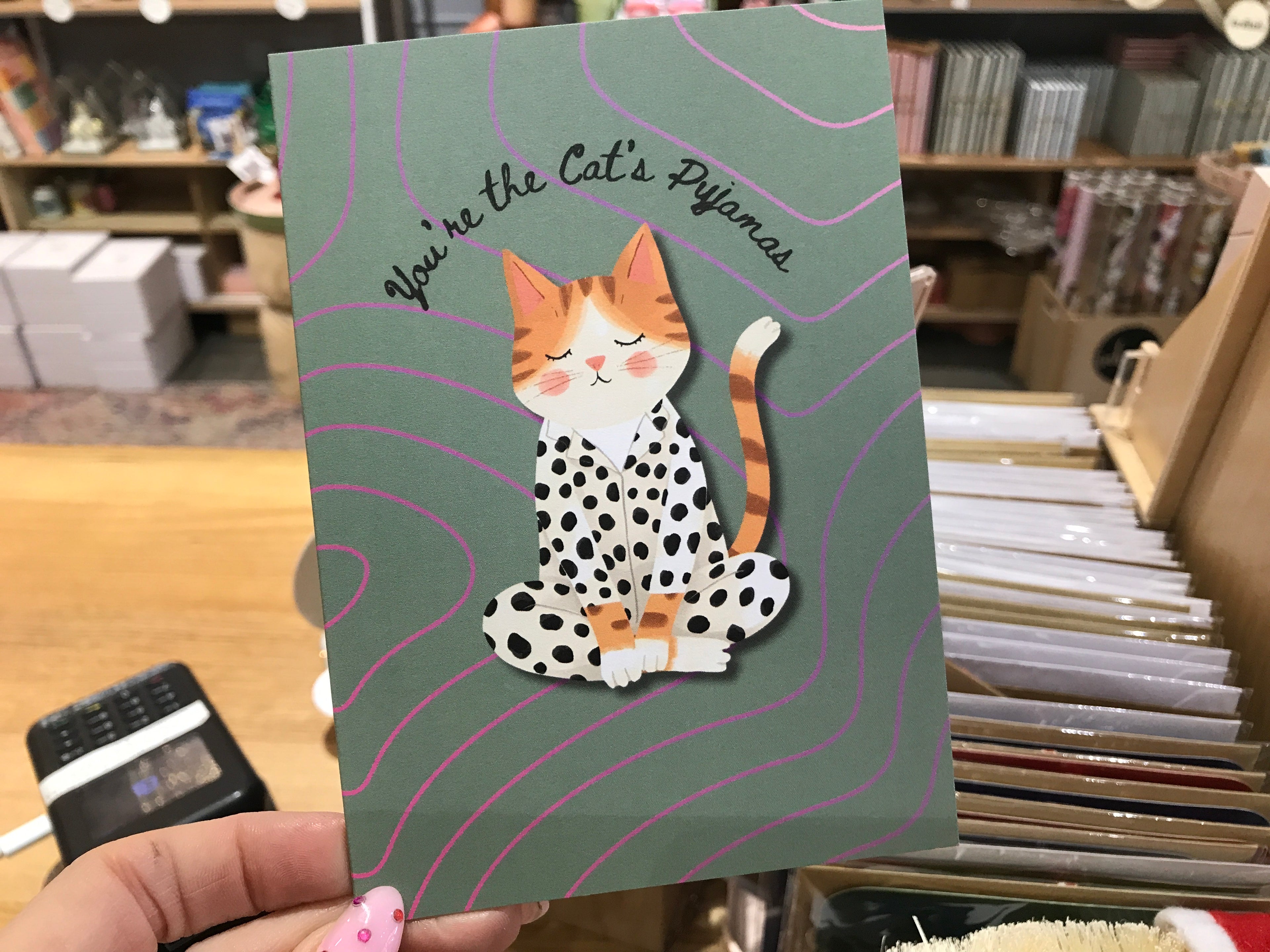 Bayside Treasures - YOU’RE THE CAT’S PYJAMAS