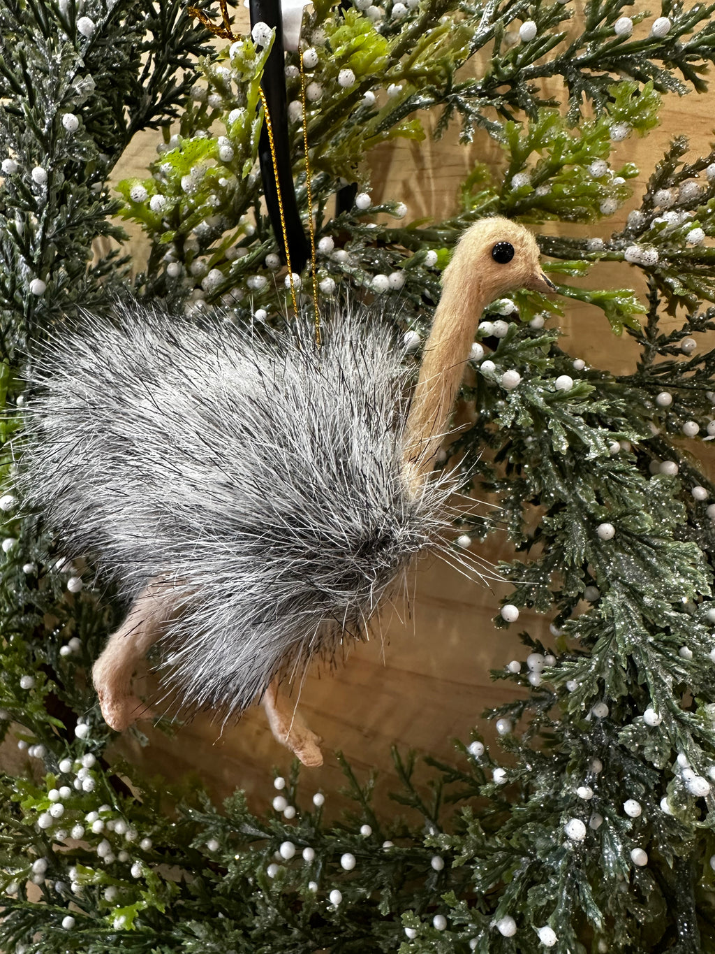 Emu ornament hanging - 2024