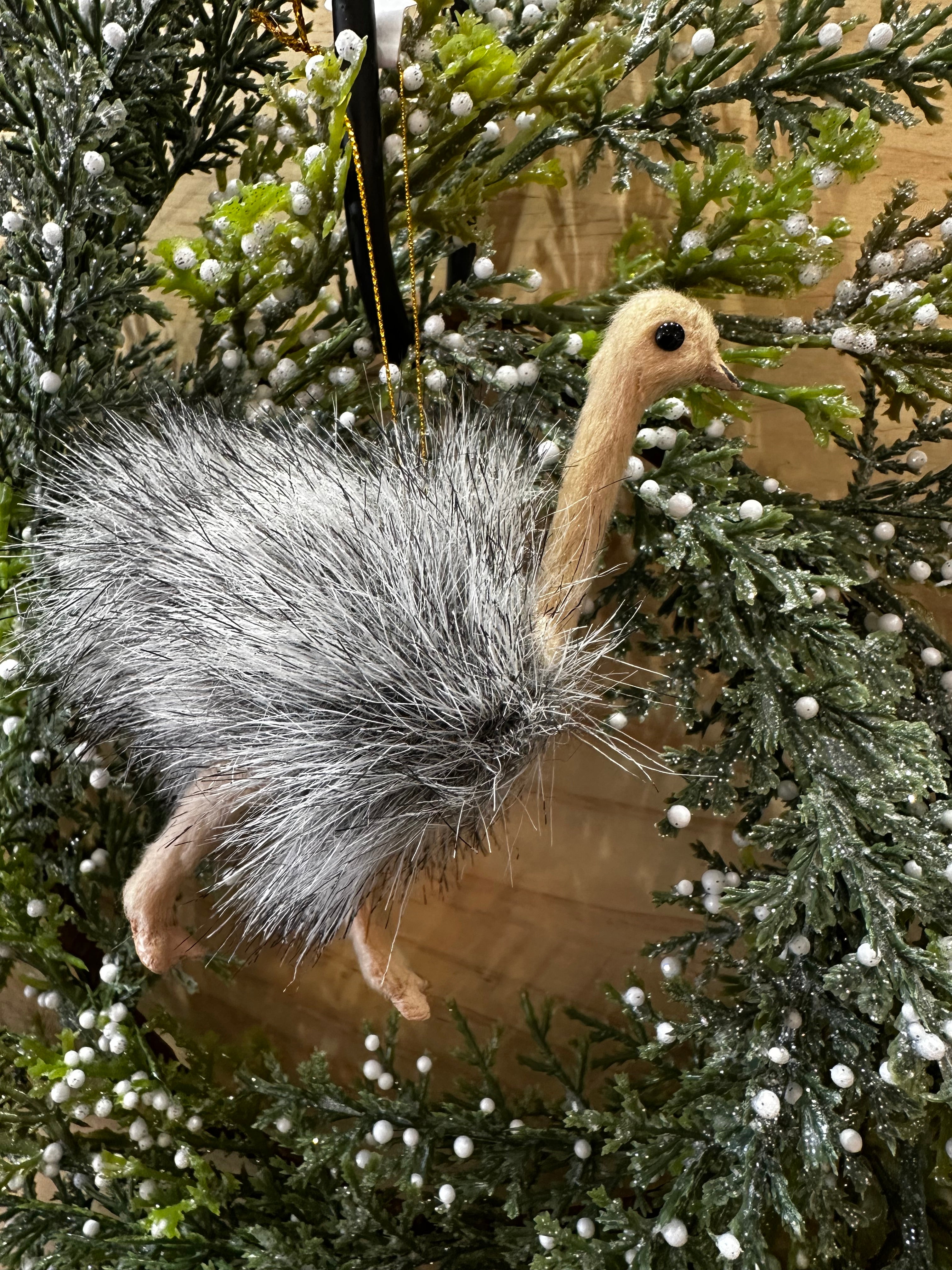 Emu ornament hanging - 2024
