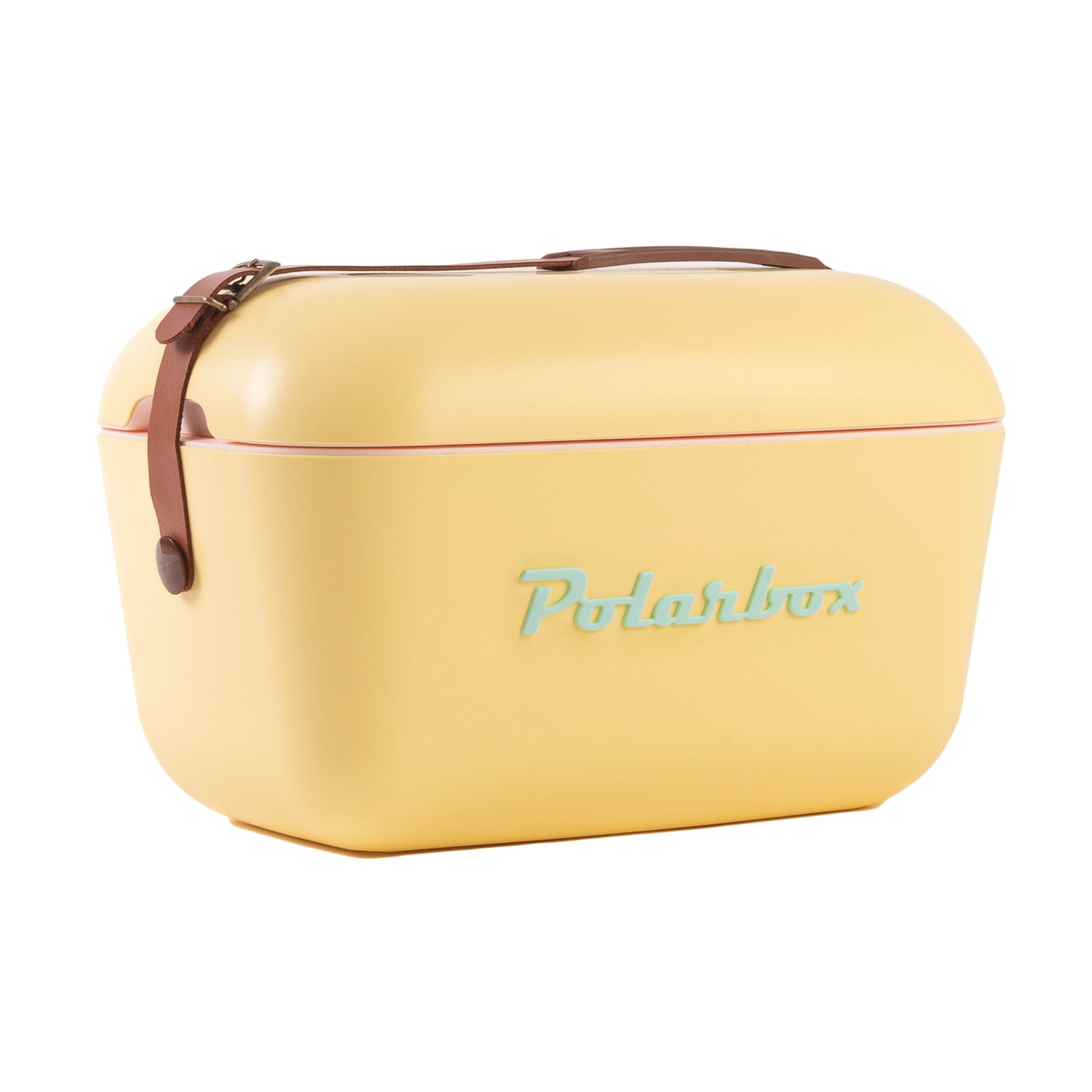 RETRO POLARBOX COOLER 12L