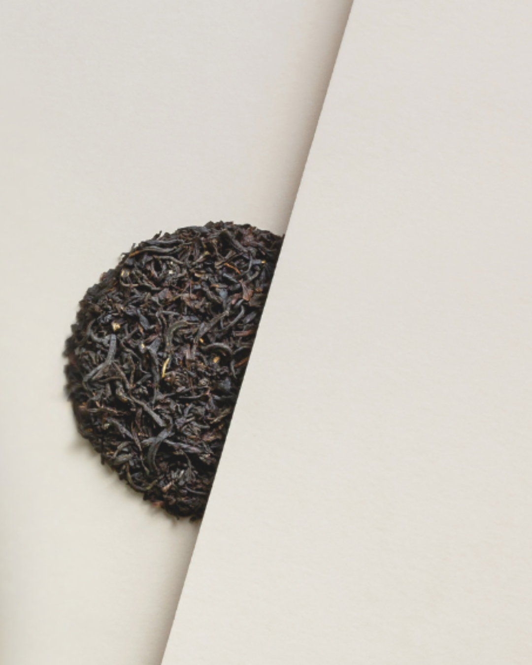 The Rabbit Hole - Wattleseed Breakfast Tube - Focus