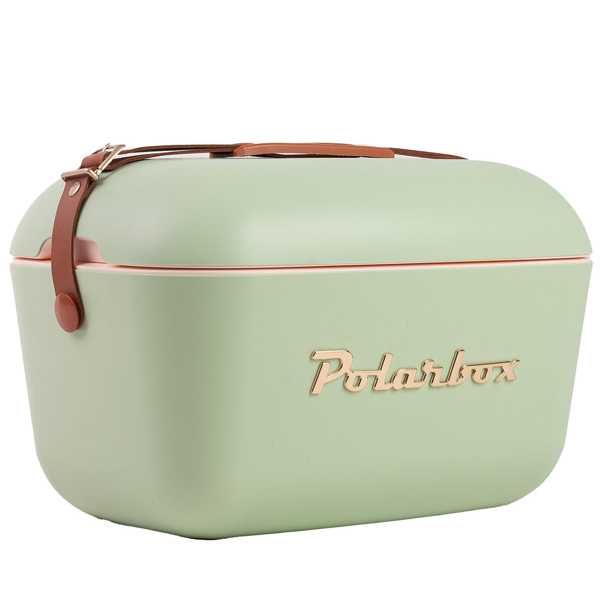RETRO POLARBOX COOLER 12L