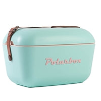 RETRO POLARBOX COOLER 12L