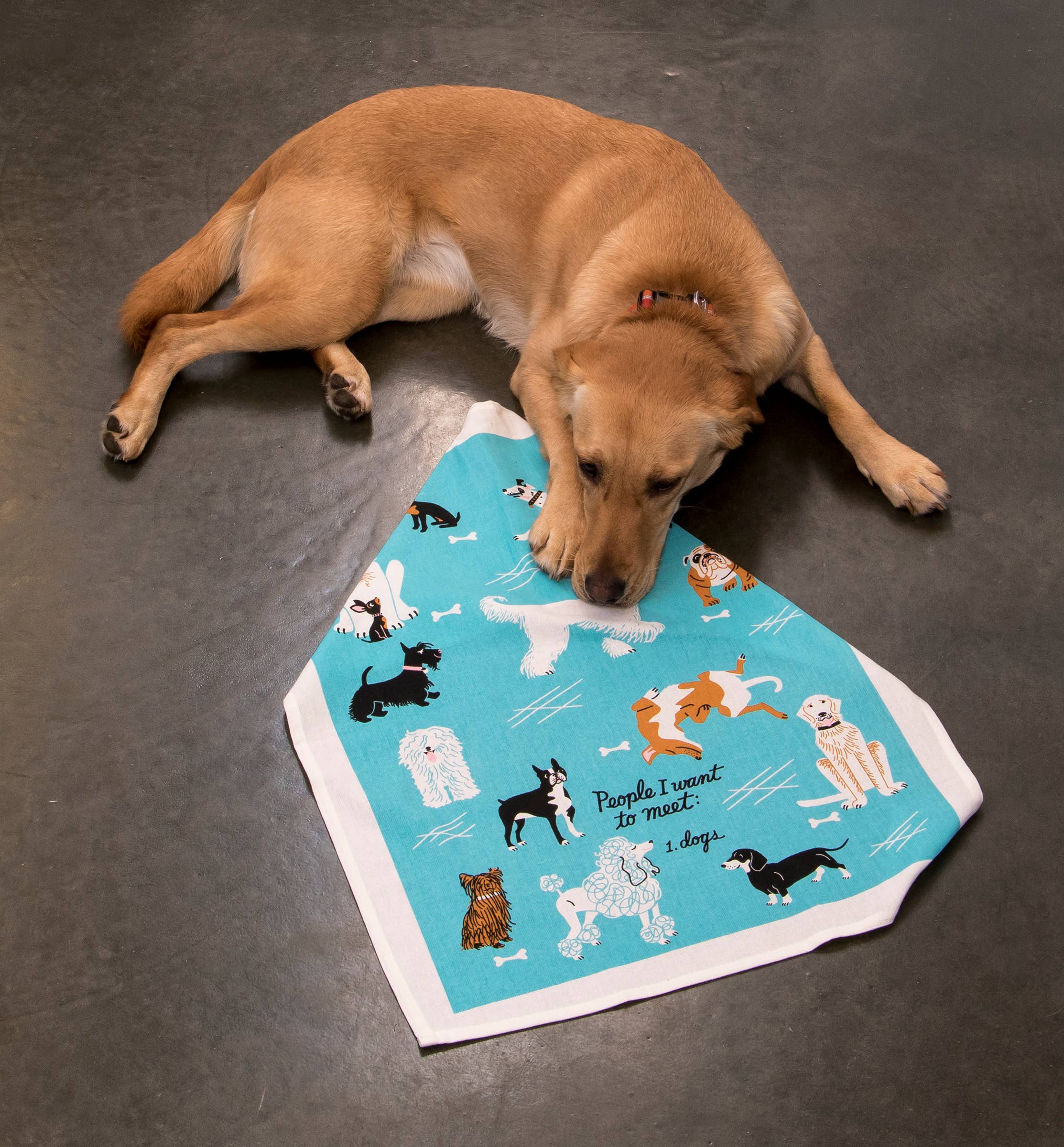 Optoco - Dish Towel - People To Meet: Dogs