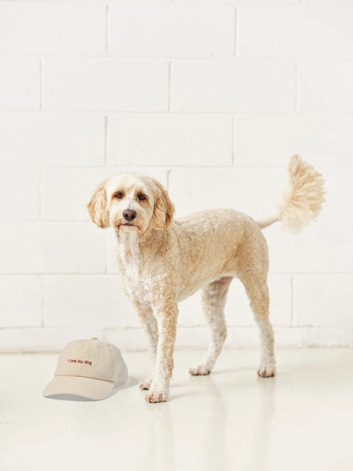 I LOVE MY DOG CAP